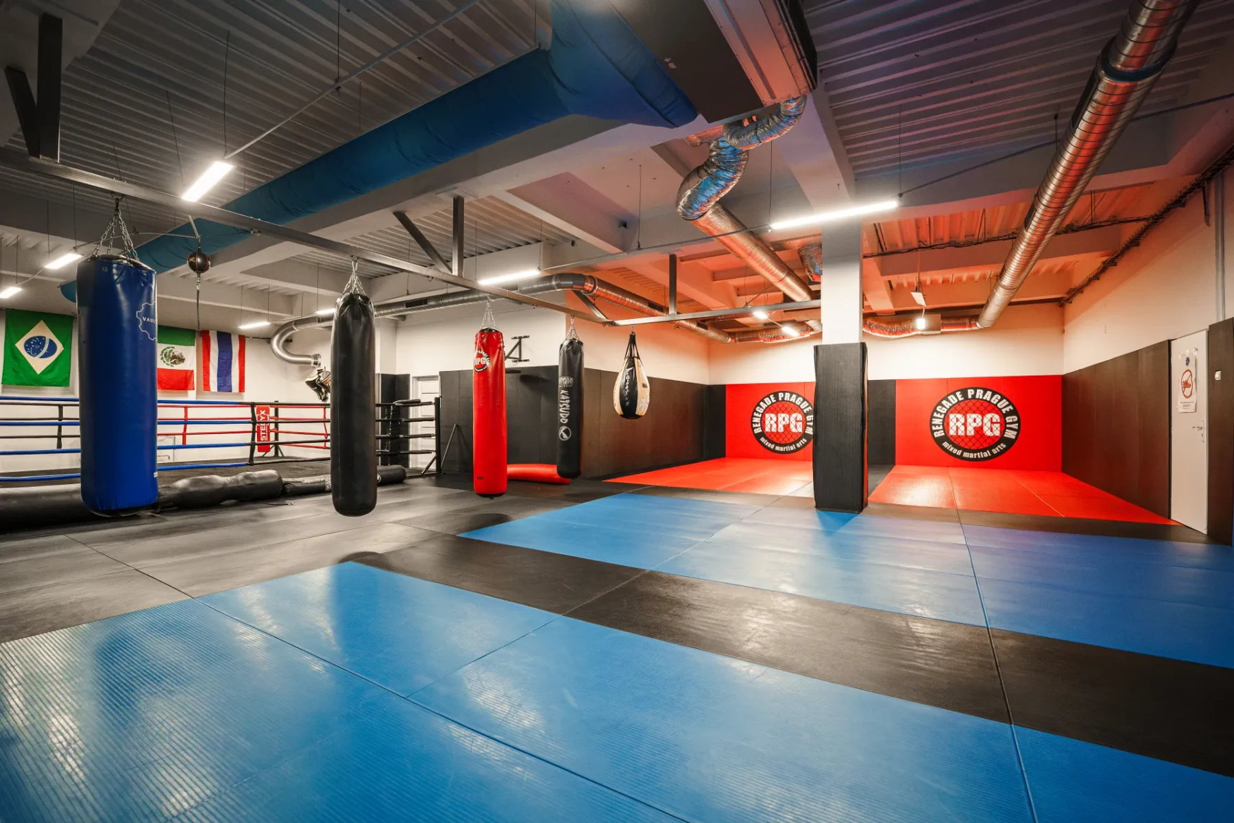 Hlavní tréninková hala Renegade Prague Gym s boxovacími pytli, ringem a tatami