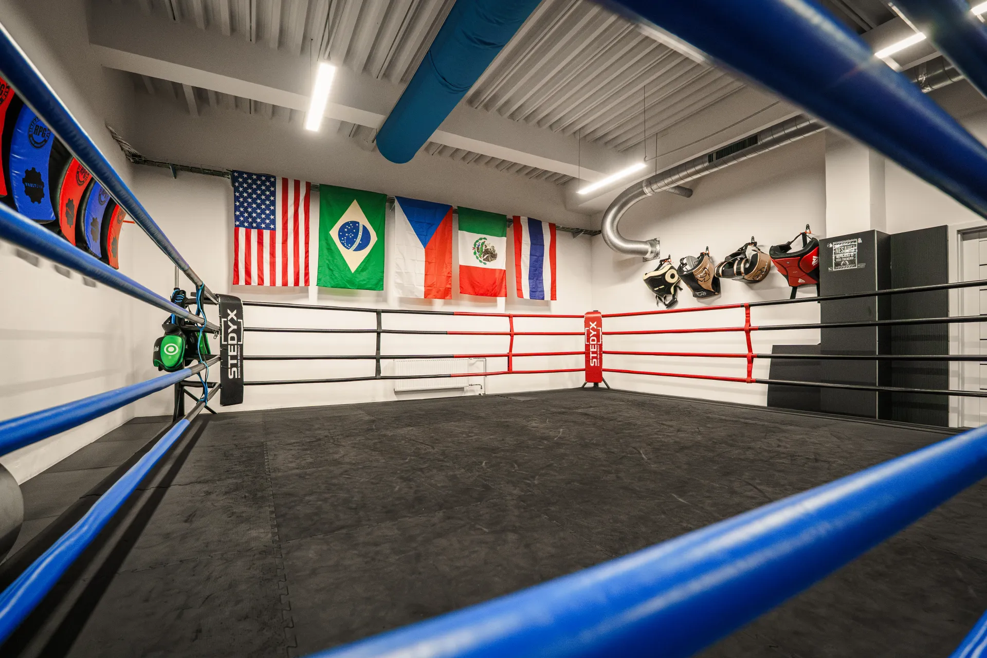 Boxerský ring v Renegade Prague Gym s vlajkami zemí na stěně